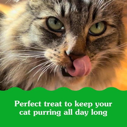 FELINE  SMARTBITES Hairball Control Crunchy and Soft Natural Cat Treats, Chicken Flavor, 16 Oz. Tub