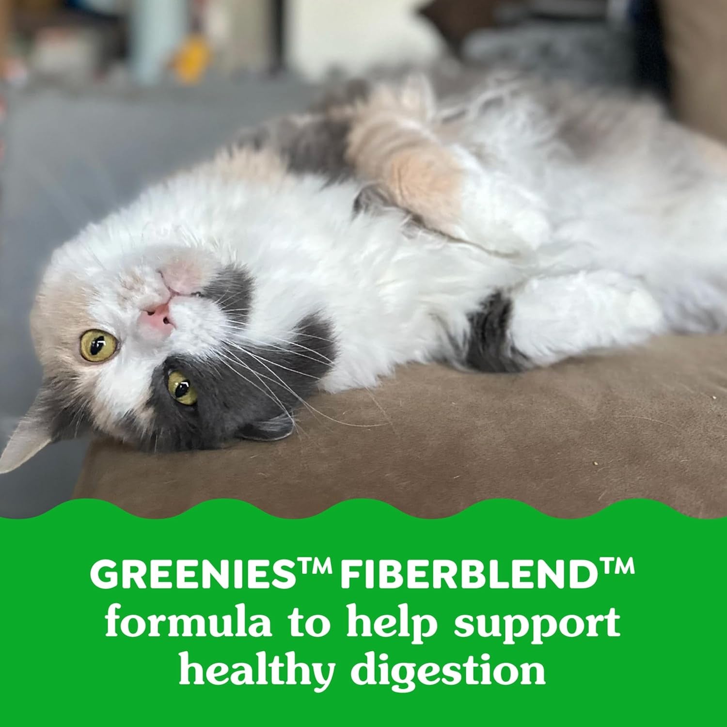 FELINE  SMARTBITES Hairball Control Crunchy and Soft Natural Cat Treats, Chicken Flavor, 16 Oz. Tub