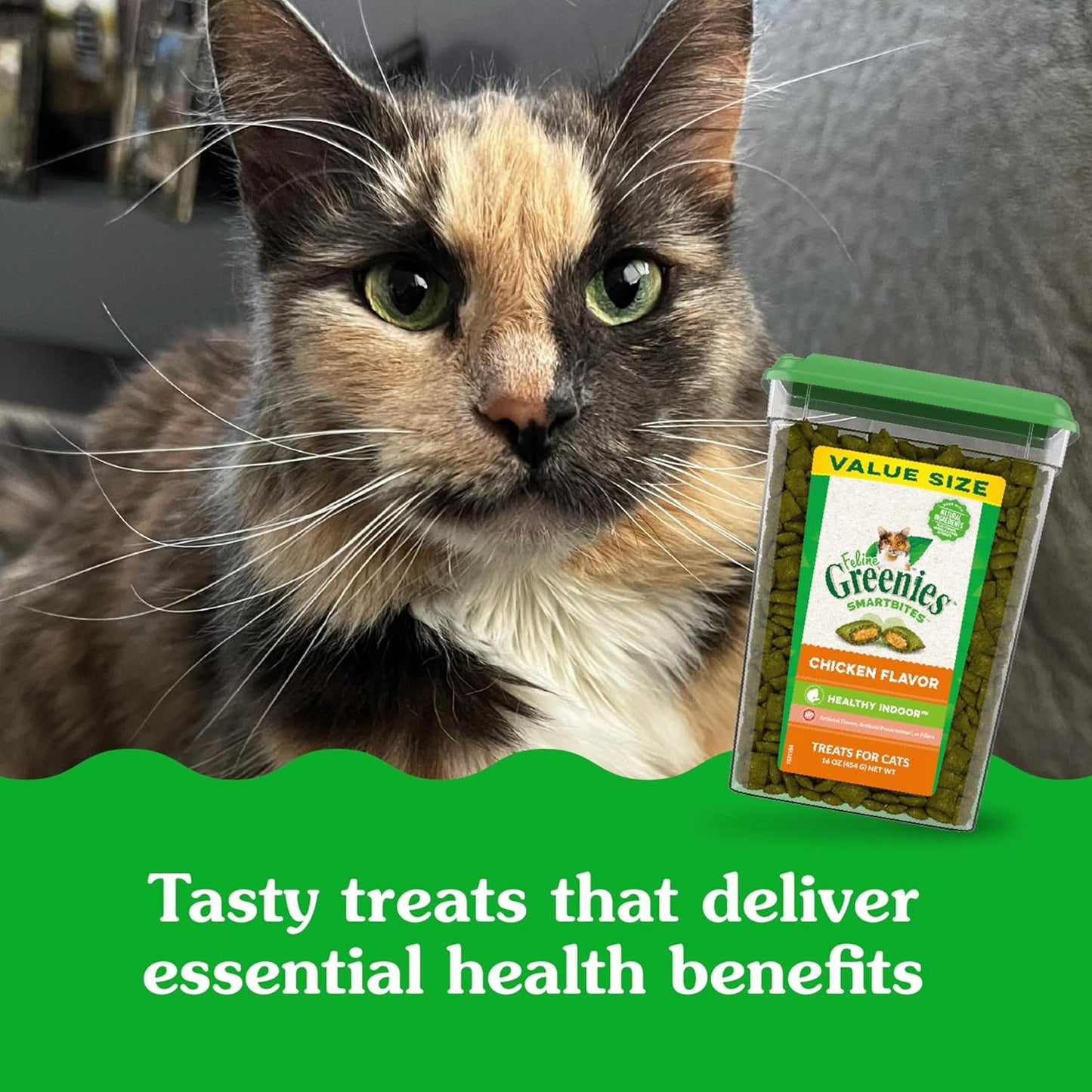 FELINE  SMARTBITES Hairball Control Crunchy and Soft Natural Cat Treats, Chicken Flavor, 16 Oz. Tub